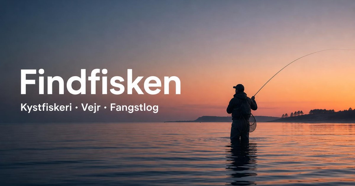 Fladfiskeri 2026 — skrubbe, rødspætte, pighvar og teknik | Findfisken